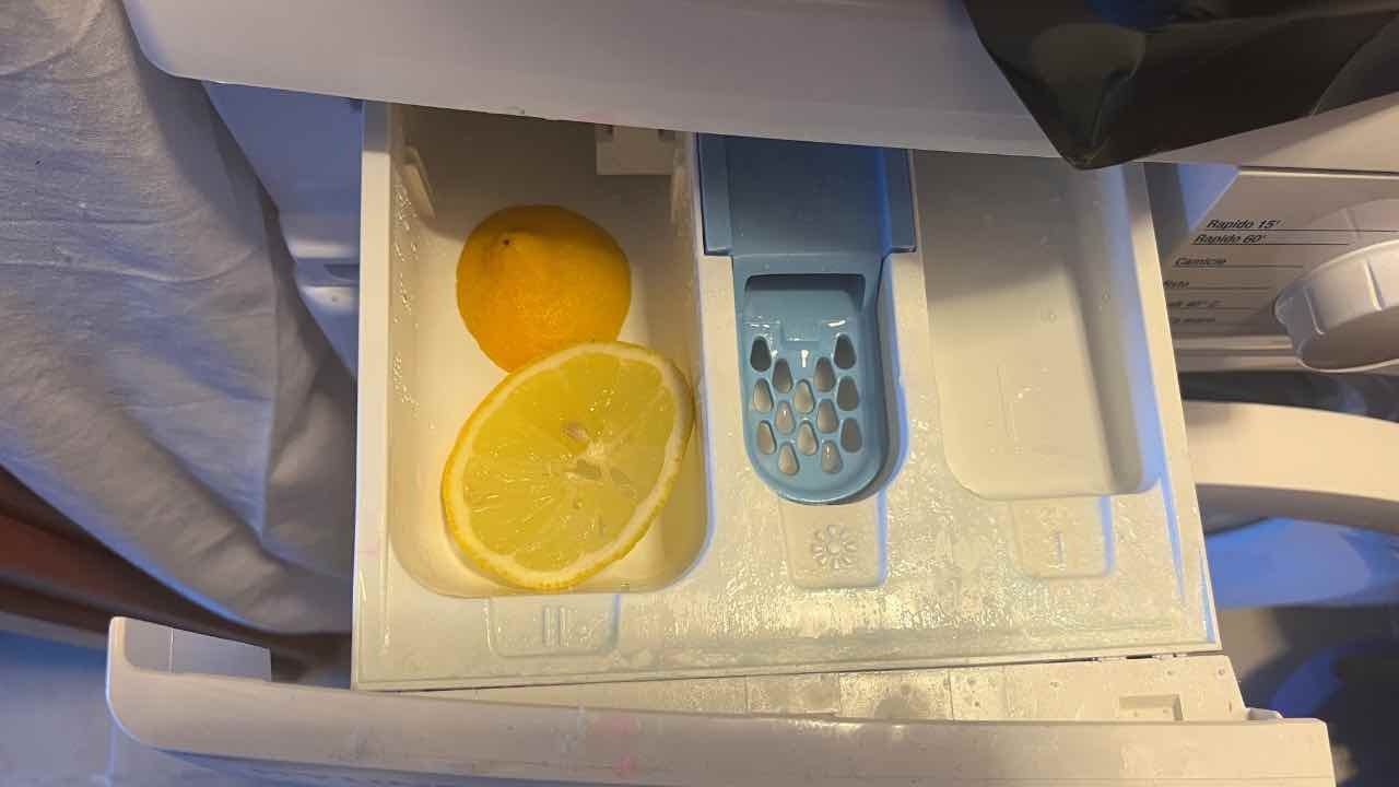 Limone in lavatrice