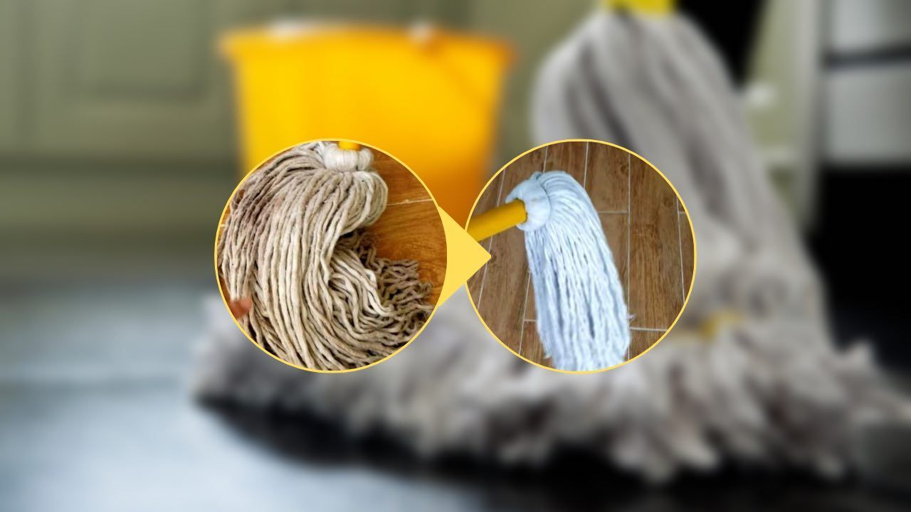 Mocio sporco prima e dopo Mocio sporco prima e dopo