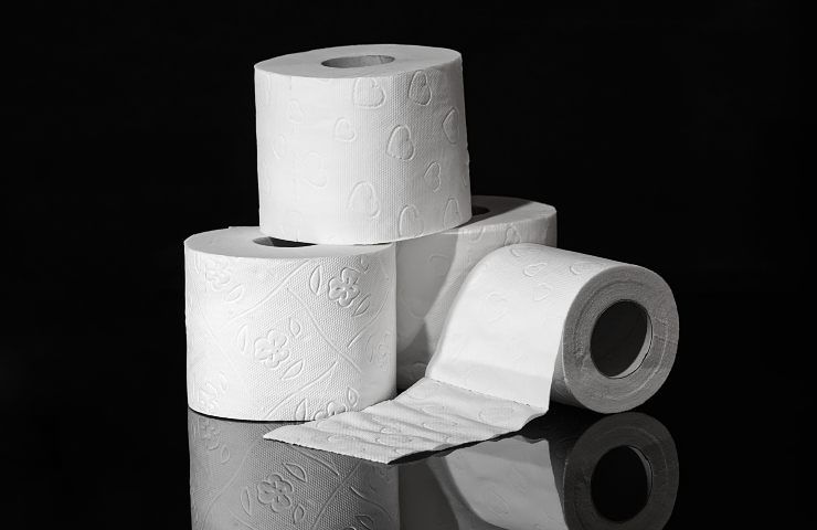 Rotoli di carta igienica multa