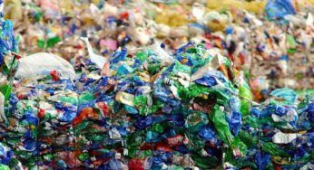 Differenziati 55,91 kg di plastica pro capite all’anno, dati oltre la media nazionale