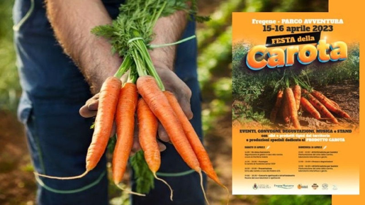 Festa della carota